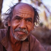 bedouin sinai desert