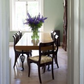 interior and lupine flowers