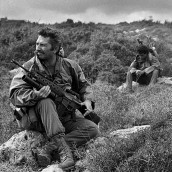 summer fields Finland and soldiers 