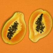 fruits and vegetables