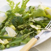 fresh salad and cheese 